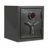 Sanctuary Platinum 1.96 Cu Ft Fireproof/Waterproof Home and Office Safe w/Electronic Lock, Dark Gray Metallic SA-PLAT2-DP